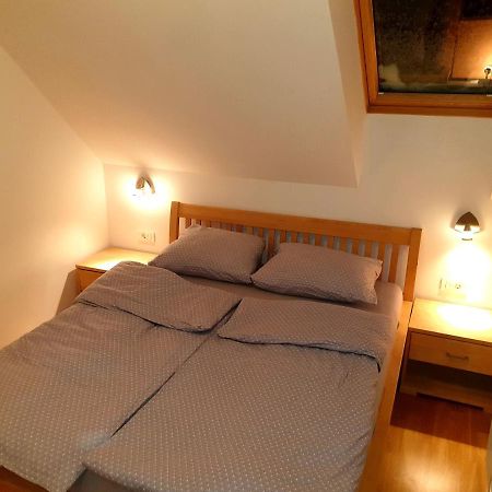 Apartma Da-Li Sports -Rogla Зрече Экстерьер фото